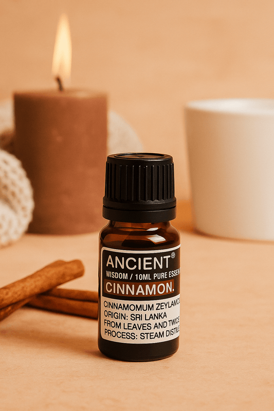 10 ml Cinnamon Essential Oil - Barbarella’s - Sinneszeit