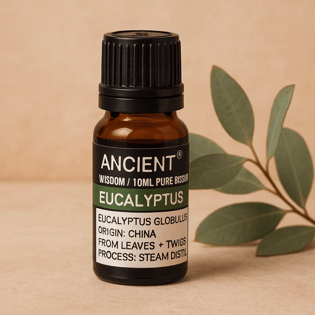 🌿10ml Eukalyptus Öl (100% reines Ätherisches Öl) - Barbarella’s - Sinneszeit