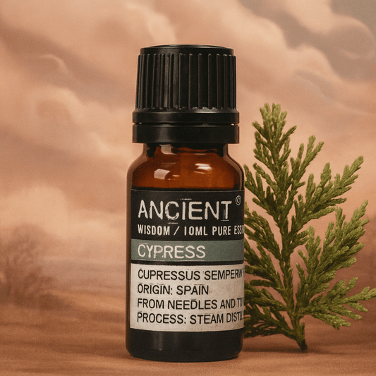 🌿10ml Zypressen Essential Öl (100% Rein Ätherisches Öl) - Barbarella’s - Sinneszeit