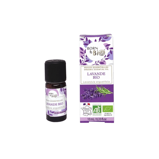 💕 Ätherisches Lavendelöl – Ruhe & Harmonie aus der Natur - Barbarella’s - Sinneszeit