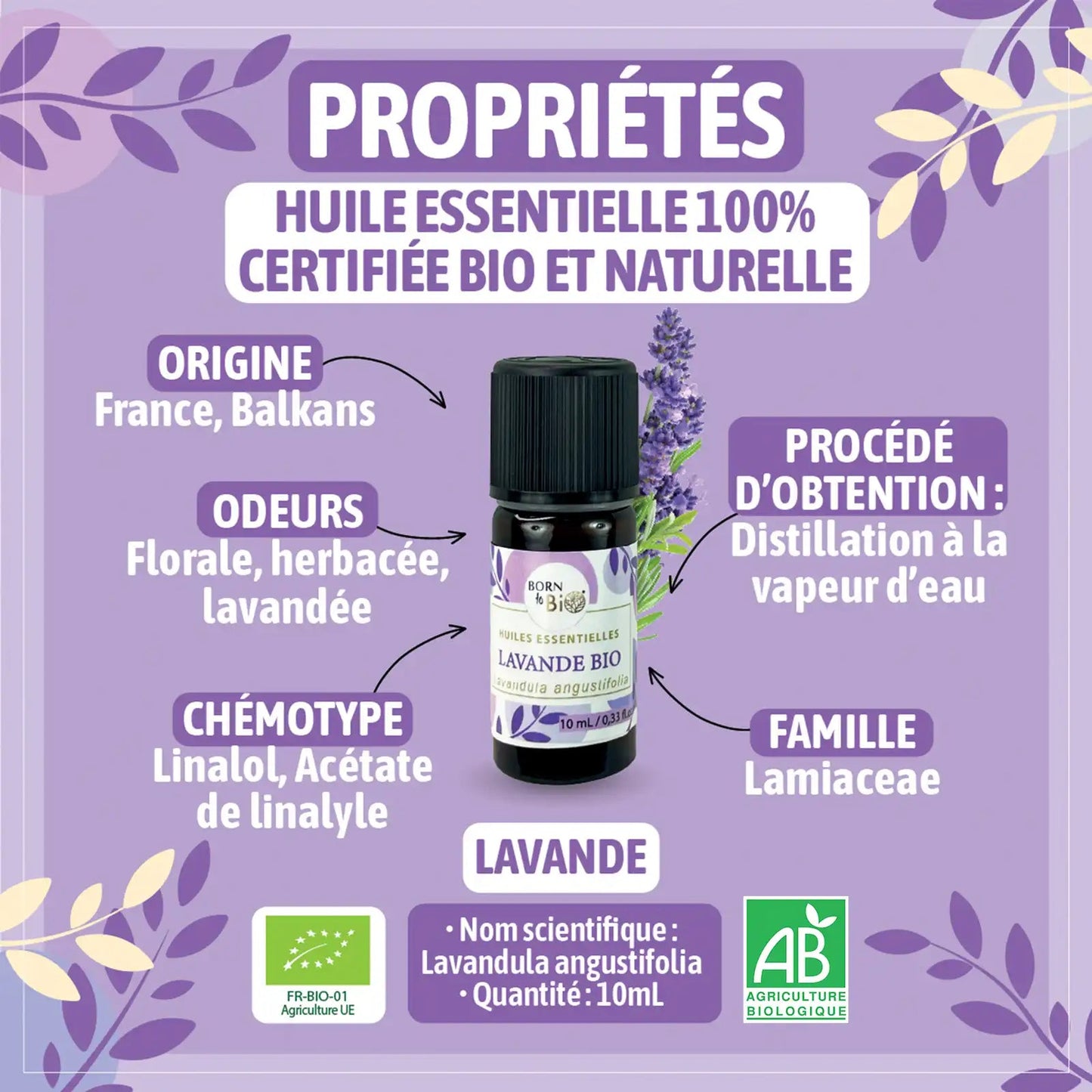 💕 Ätherisches Lavendelöl – Ruhe & Harmonie aus der Natur - Barbarella’s - Sinneszeit