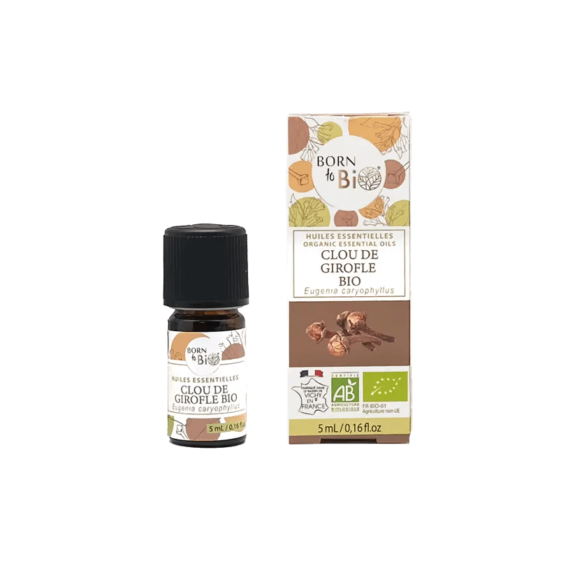 Nelkenöl – Wärme & Geborgenheit für die Sinne ✨ - Barbarella’s - Sinneszeit