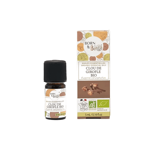 Nelkenöl – Wärme & Geborgenheit für die Sinne ✨ - Barbarella’s - Sinneszeit